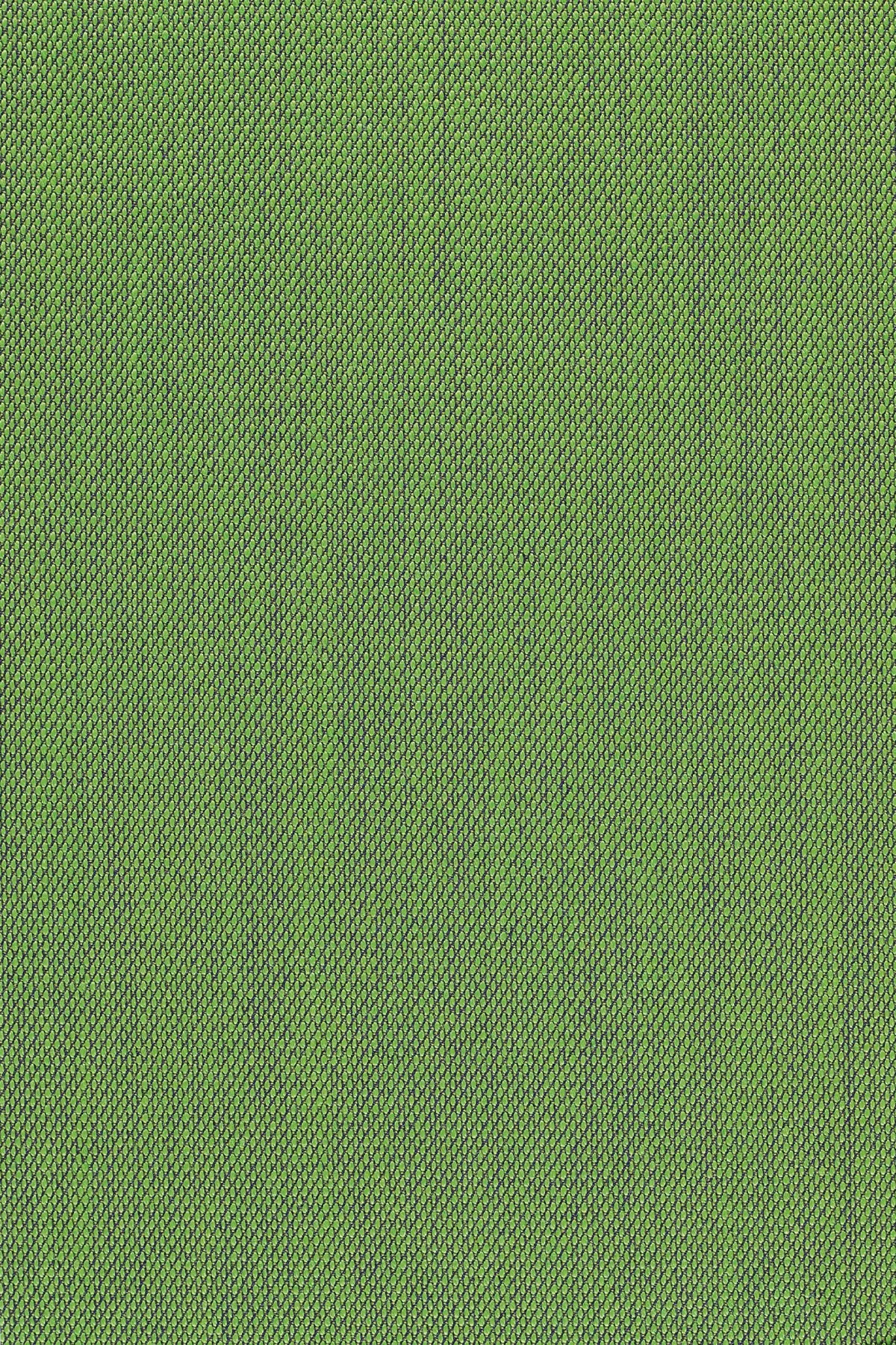 Fabric sample Steelcut Trio 3 953 green